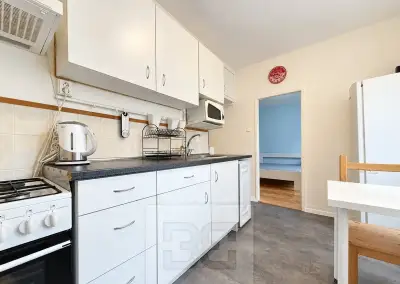 Pronájem bytu 2+1 55 m², Brno - Veveří, ev.č. N09880
