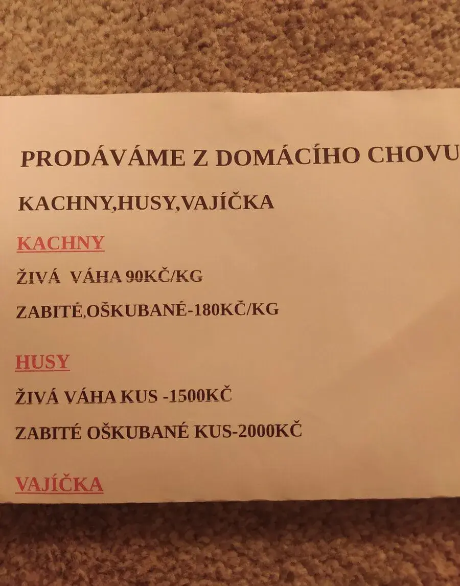 Kachny husy