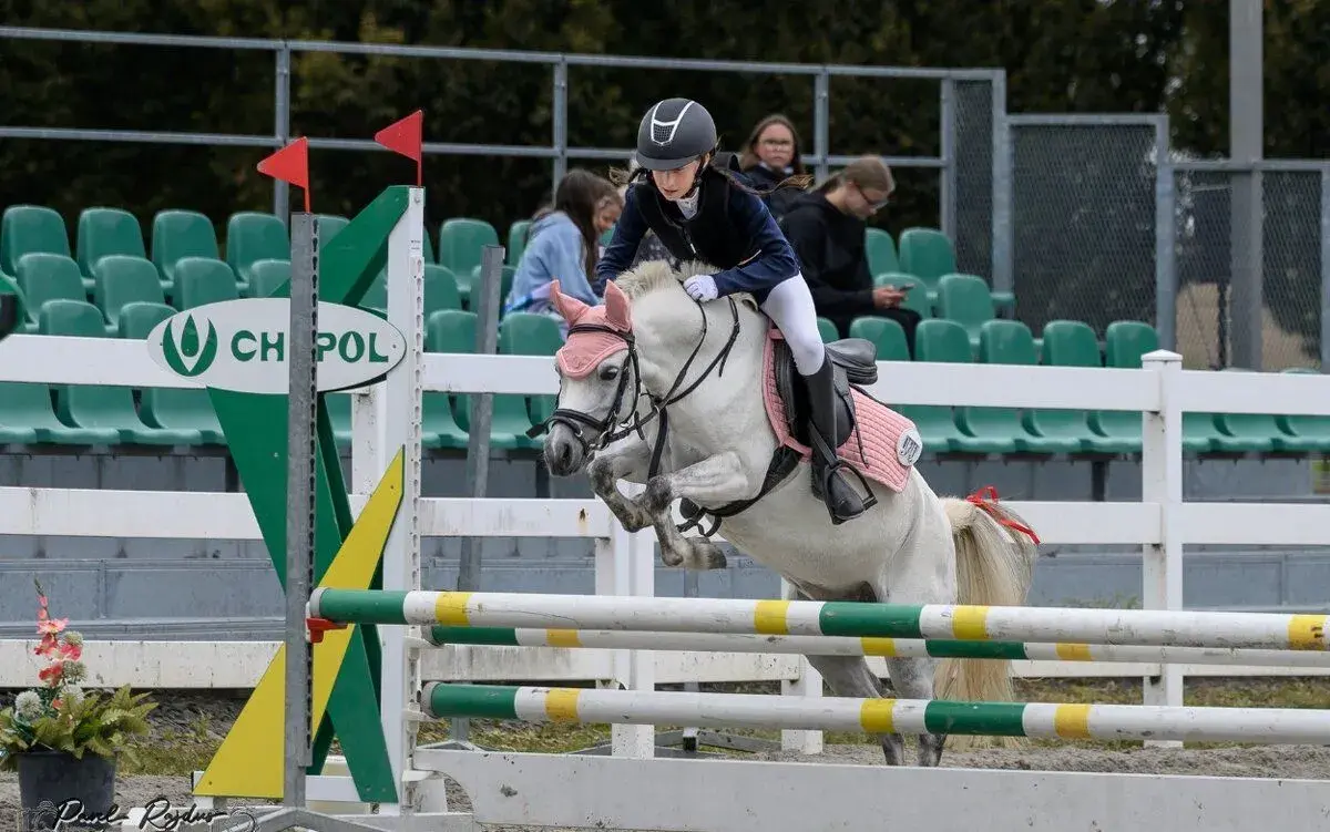Jedinečná vyhrávací pony kobylka