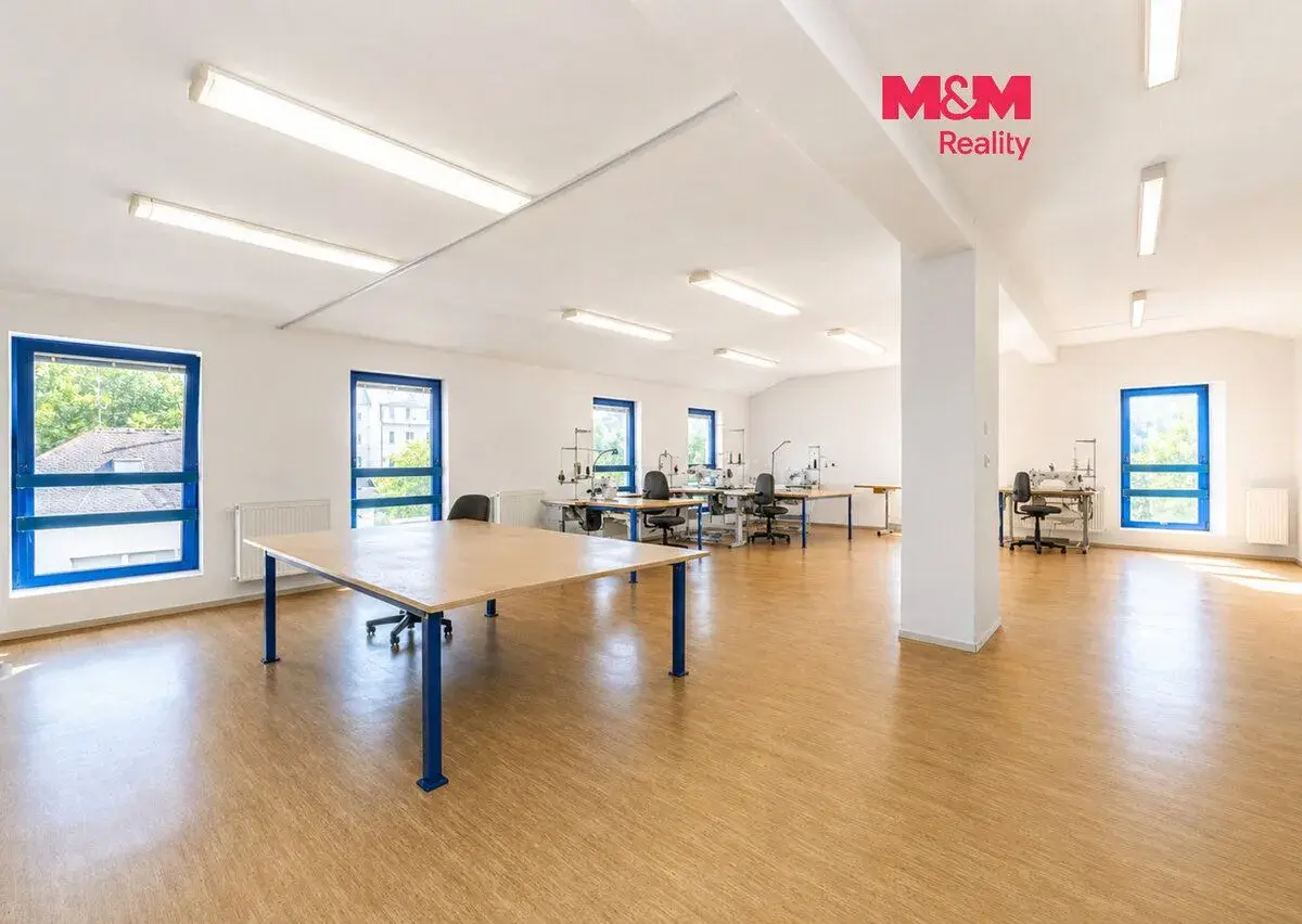 Prodej obchodního objektu, 1200 m², Letohrad, ul. Petříkov