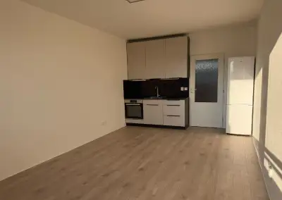 Byt 1+kk s velkou lodžií MŠENO, pronájem