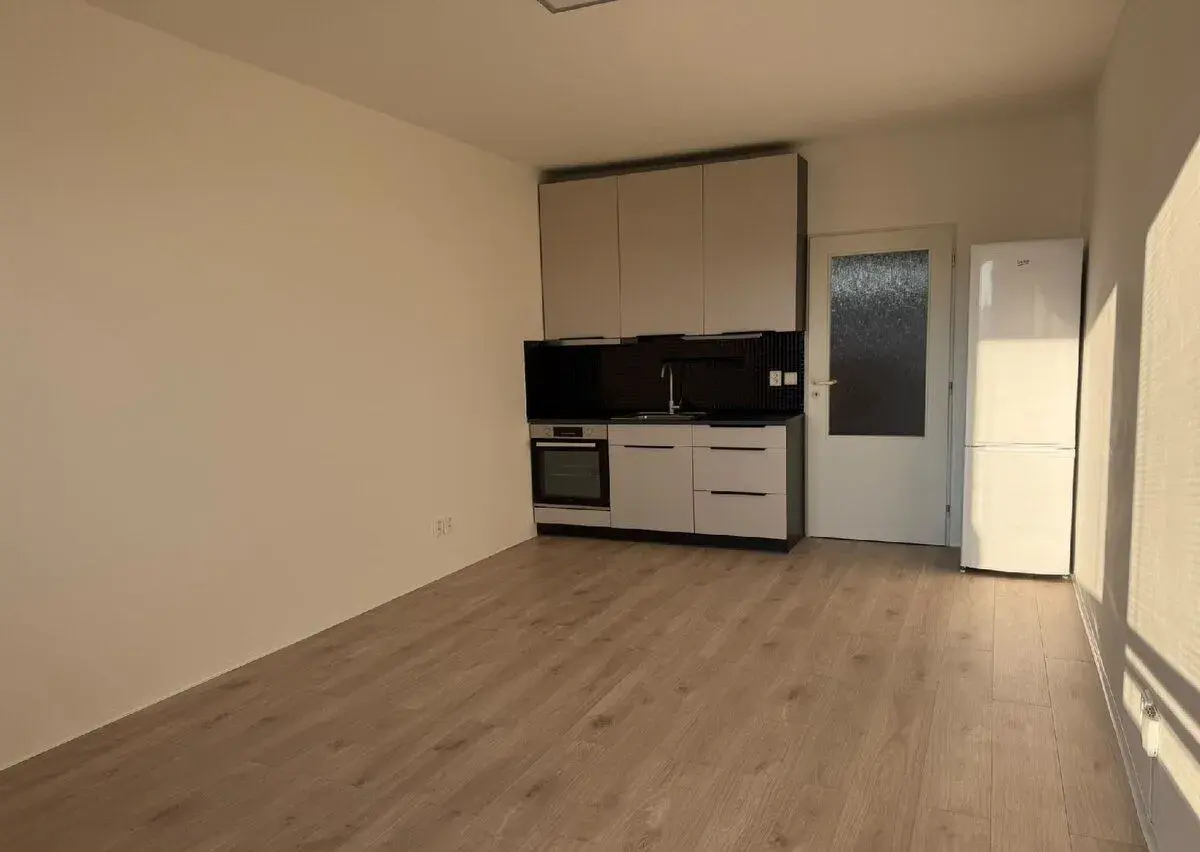 Byt 1+kk s velkou lodžií MŠENO, pronájem