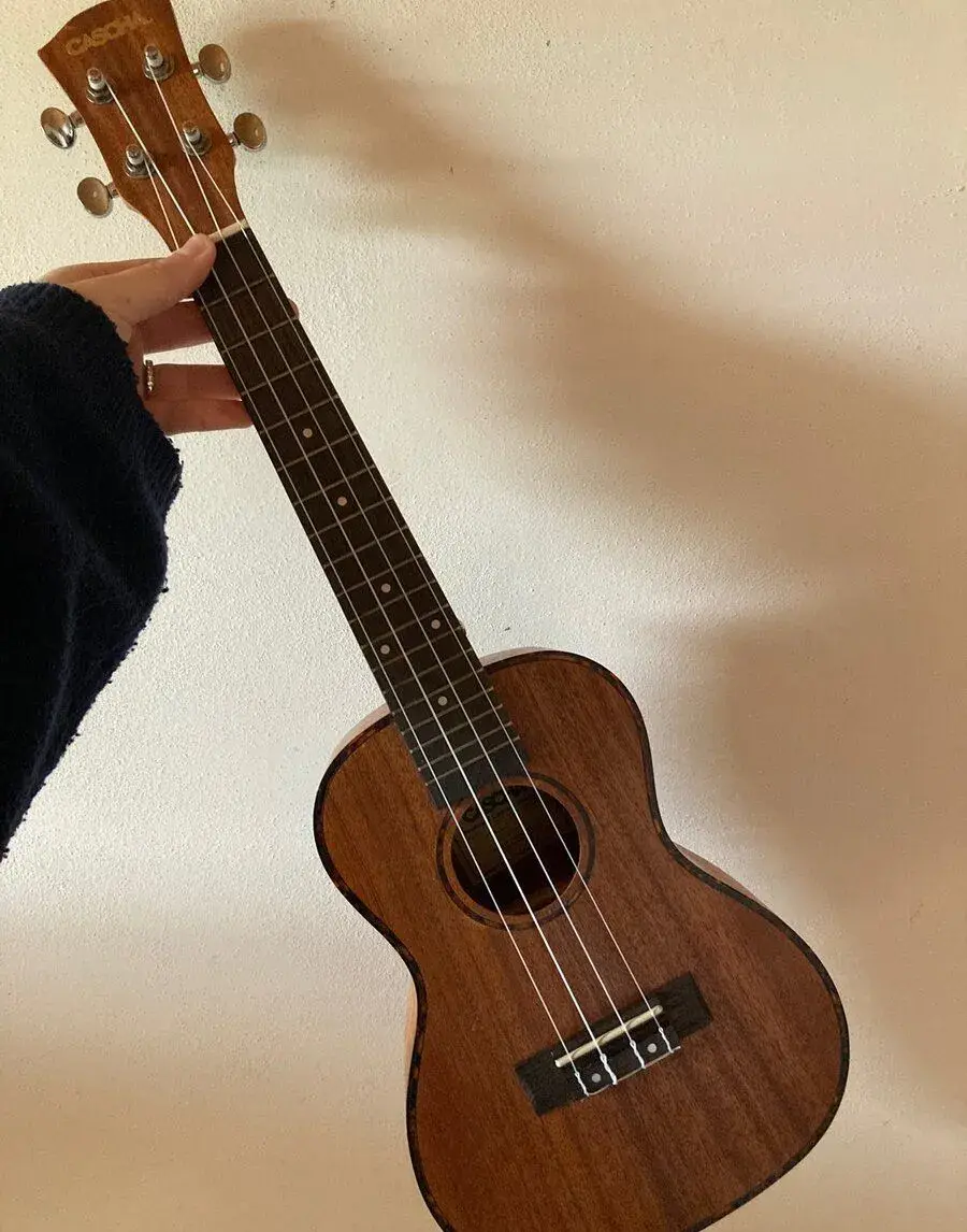 Ukulele (koncertní)