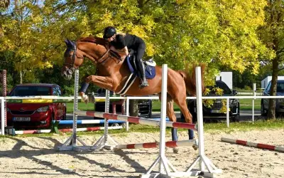 Valacha 6 let po Comme il Faut