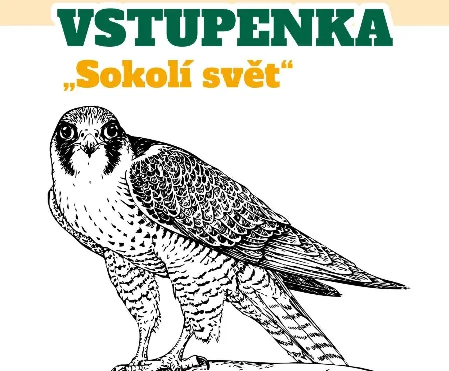 Rodinná vstupenka „Sokolí svět“ – pouze 110 Kč