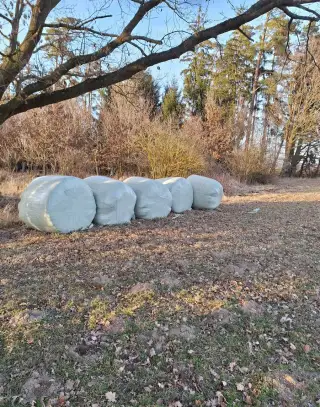 Senáž