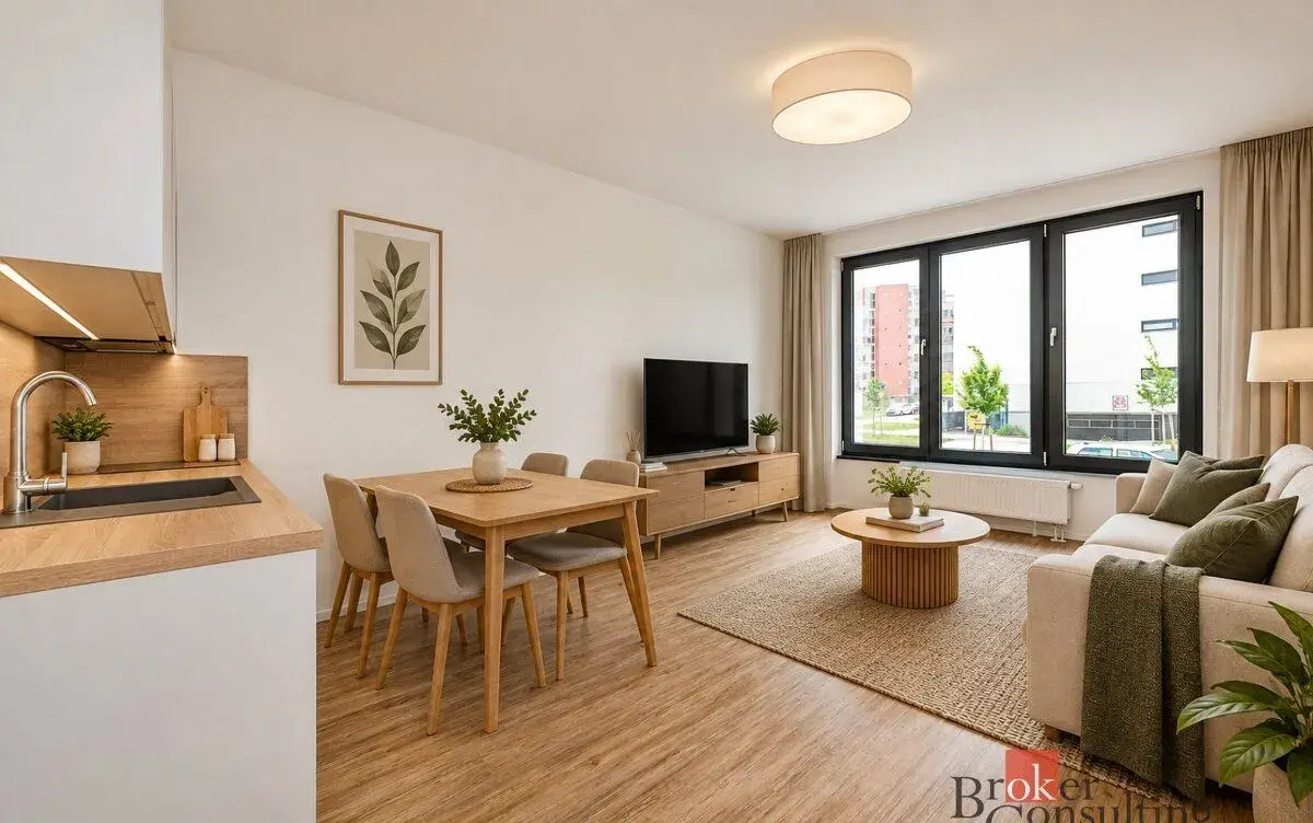 Pronájem, byty/1+kk, 31.72 m2, Železná 3068/16, Jižní Předmě
