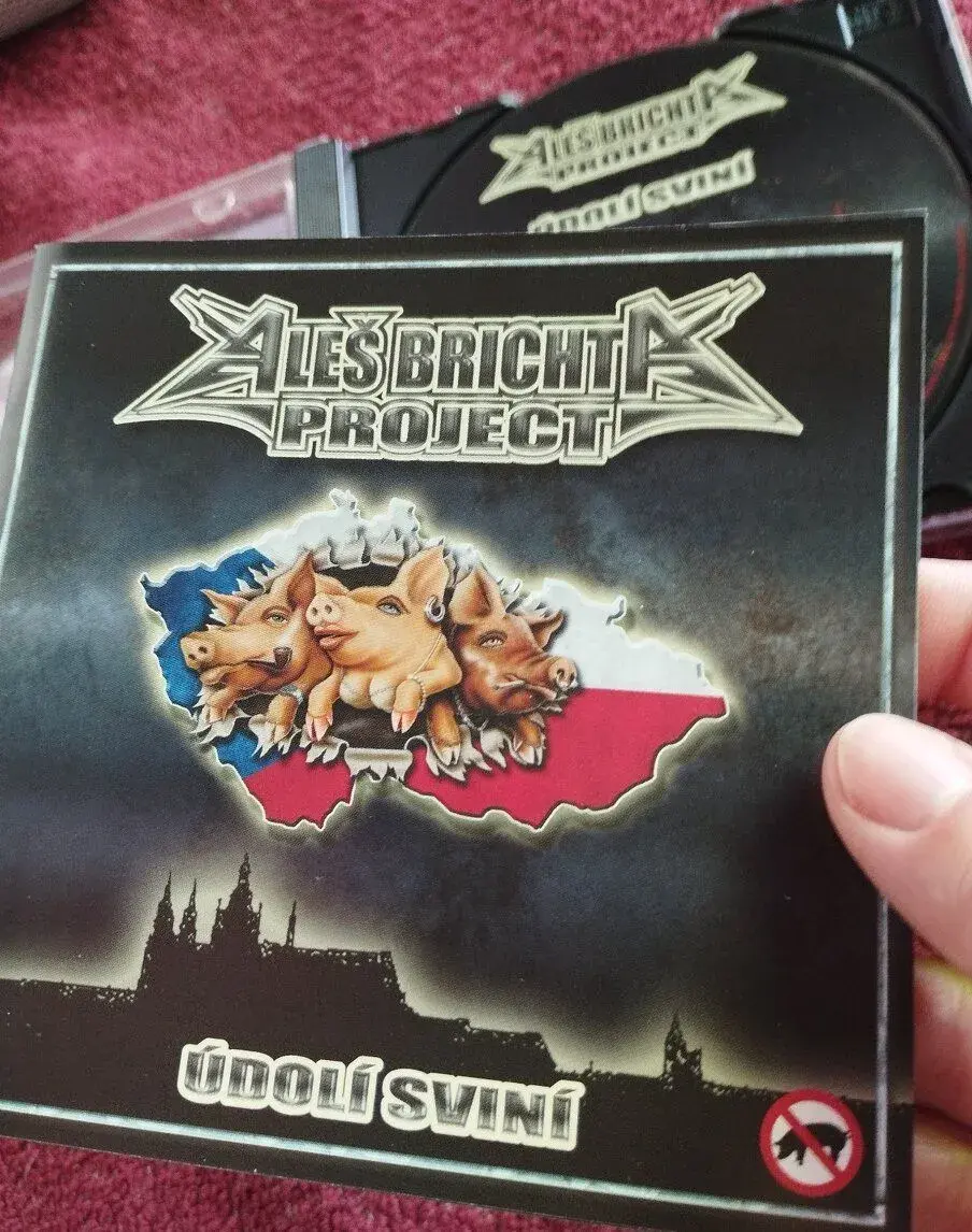 Aleš Brichta project- Údolí sviní
