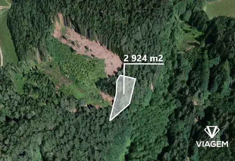 Les 2 924 m², Podíl 38 % o výměře 1 097 m²