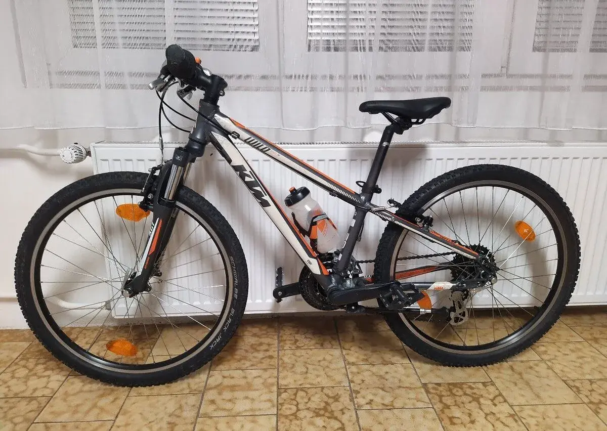Dětské kolo KTM Wild Speed ​​​​24″