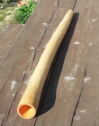 Didgeridoo 081