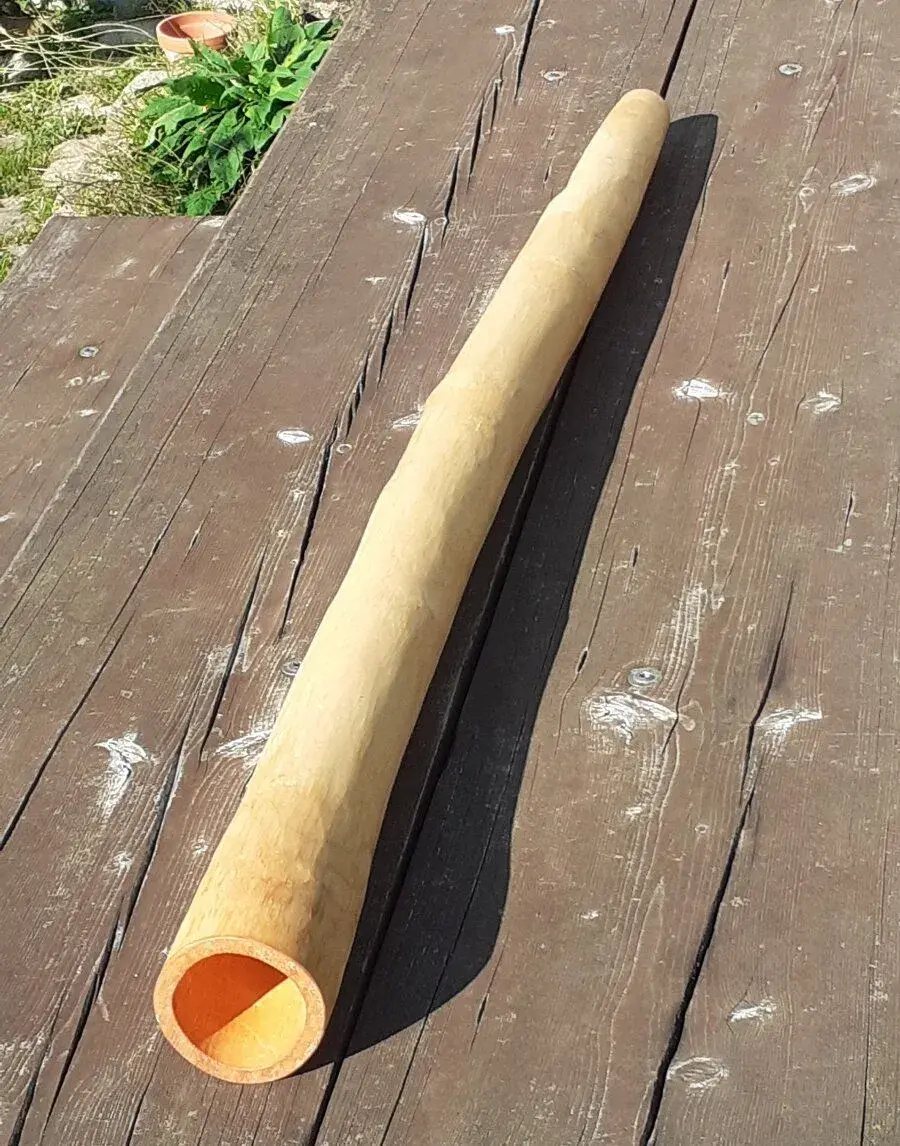 Didgeridoo 081
