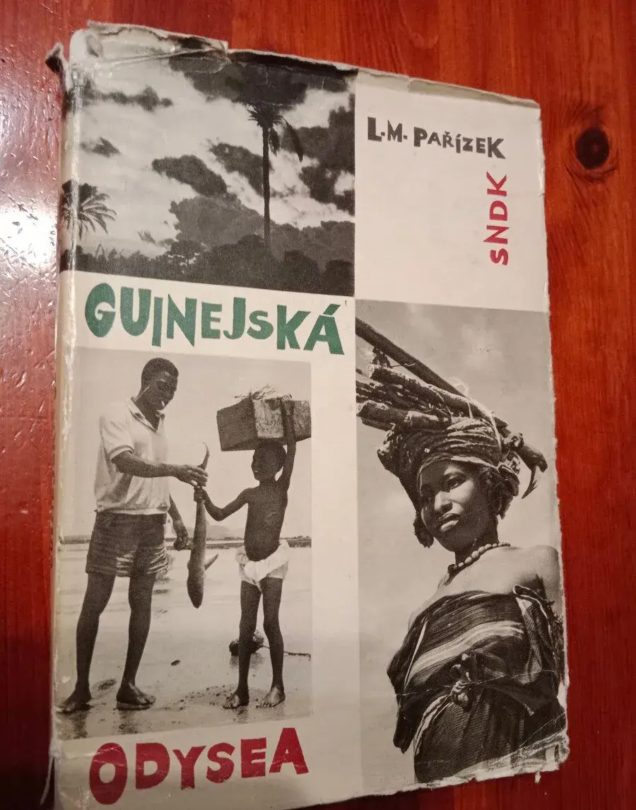 Guinejnejská odysea