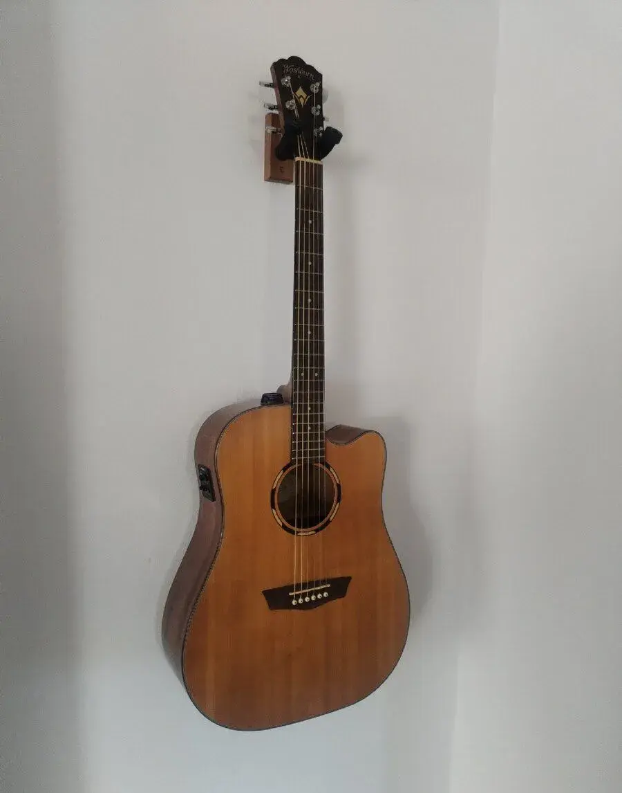 Kytara Washburn WLD10SCE