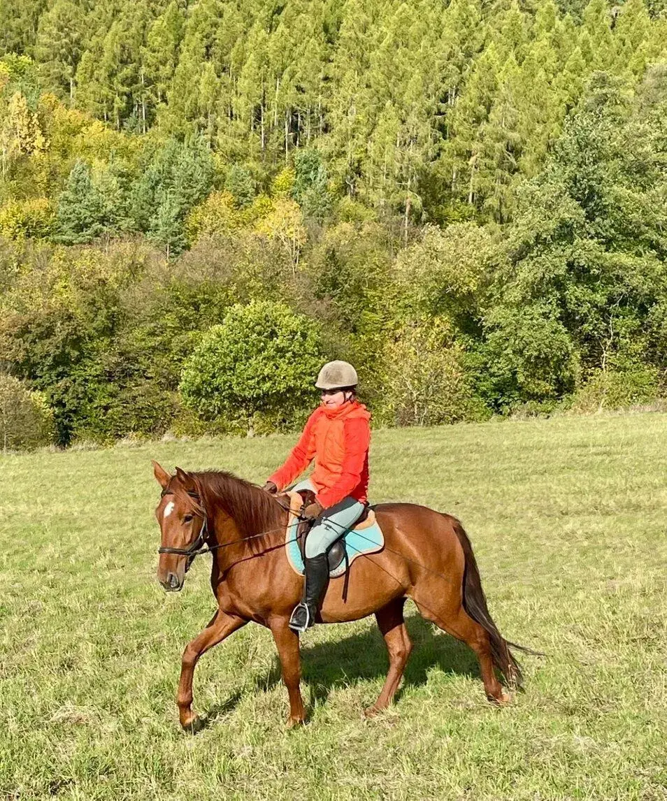 Lusitano klisna PSL 3 a půl roku