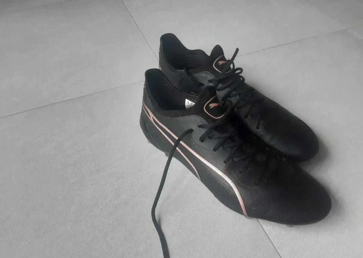 Kopacky puma king