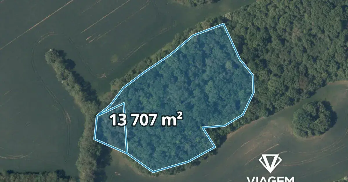 Les 13 707 m²