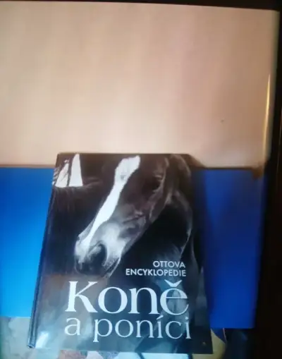 Knizka koně