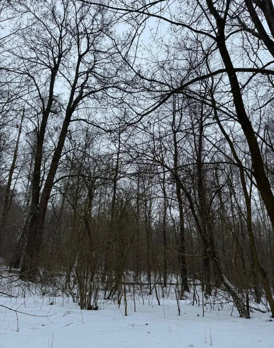 Prodej pozemků k.ú. Minice u Kralup nad Vltavou (1)