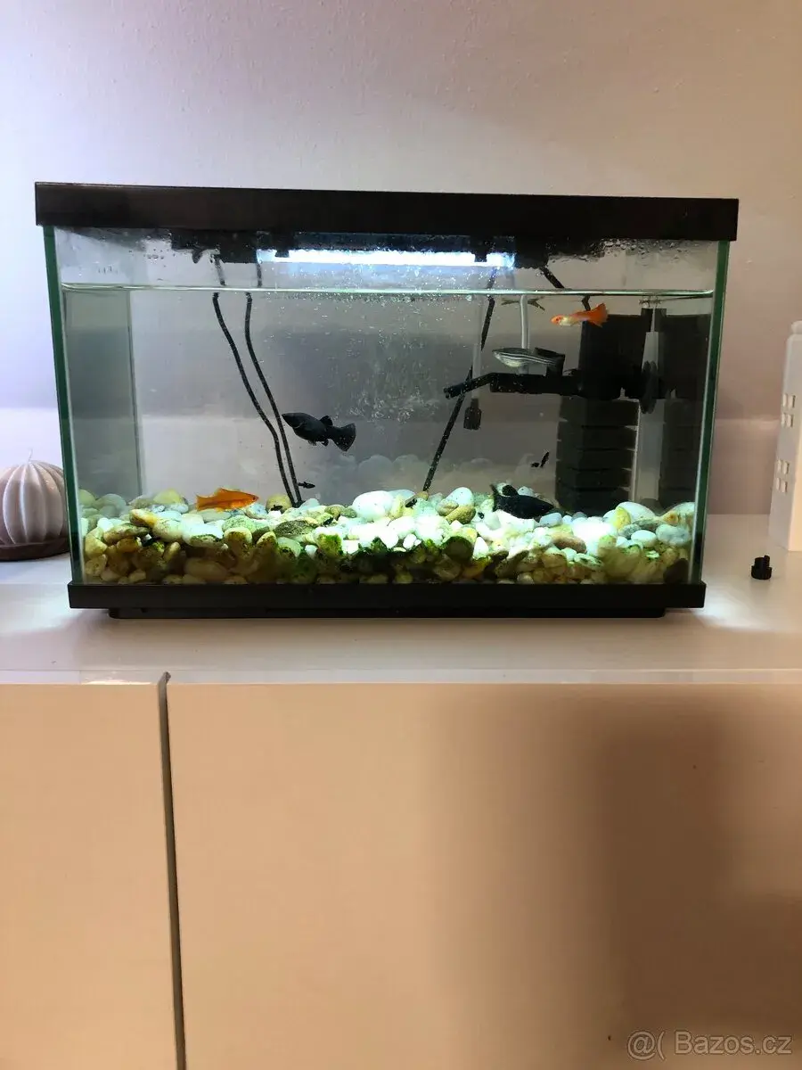 Akvarium