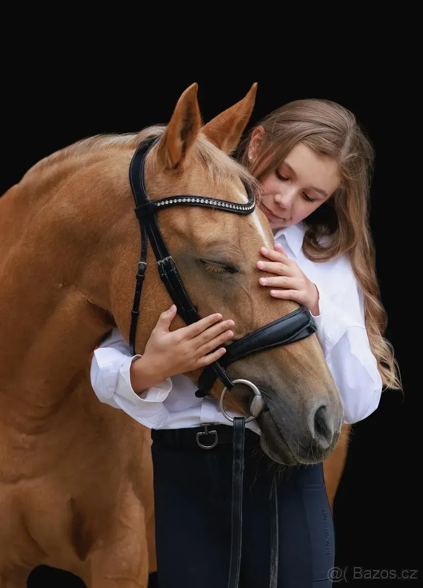 Drezurní pony šampionka