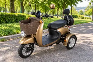 Elektrická tříkolka 1000 W / 20 Ah – elegantní městský model