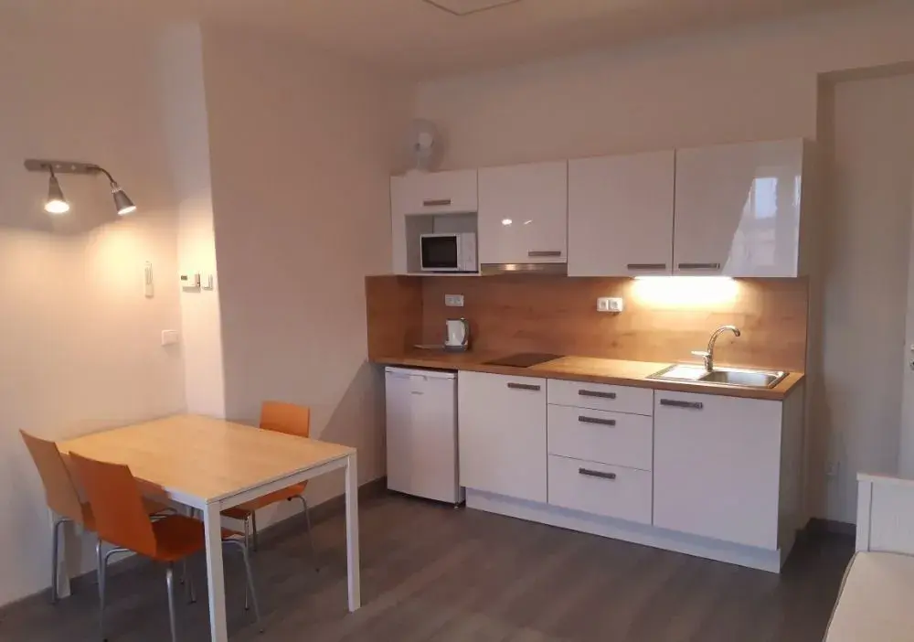 Pronájem 1+kk, Ostrava - Moravská, ulice Bachmačská
