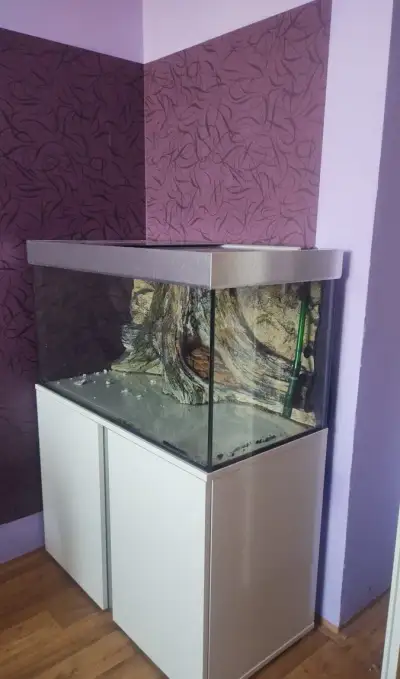 Akvárium Juwel 250l 3D pozadí