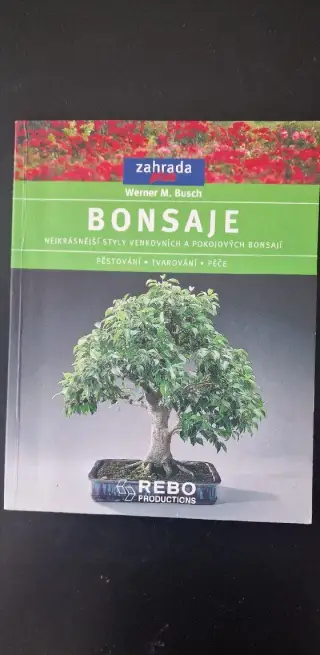 Werner M Busch: Bonsaje