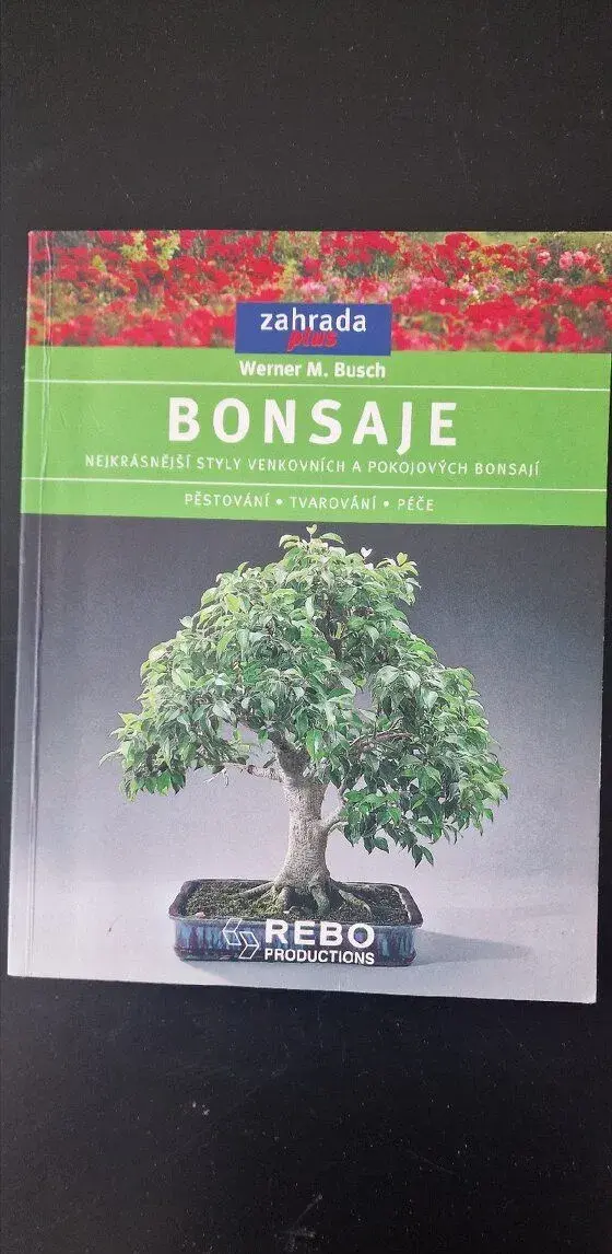 Werner M Busch: Bonsaje
