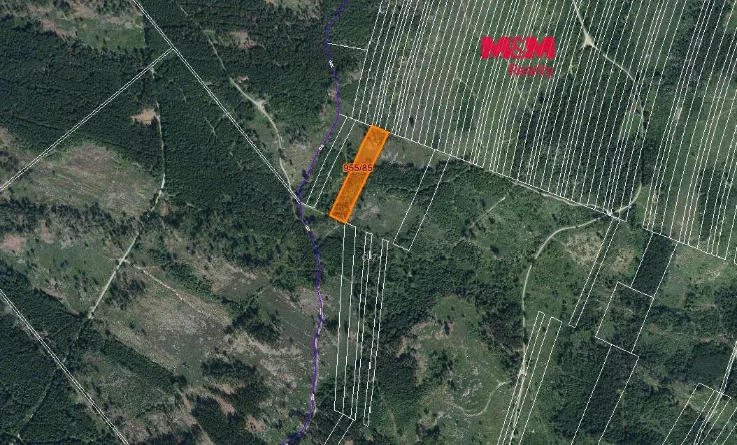 Prodej lesa, 6092 m², Nová Hradečná
