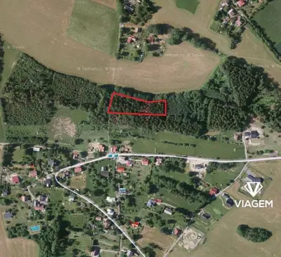 Les 3 905 m², Podíl 33 % o výměře 1 302 m²
