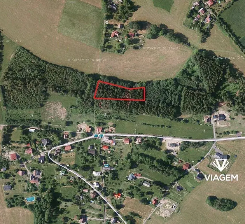 Les 3 905 m², Podíl 33 % o výměře 1 302 m²