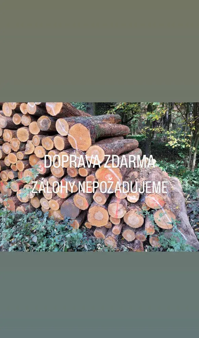 Palivové dřevo