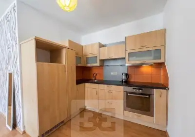 Pronájem bytu 1+kk, 33 m² - České Budějovice 3, ev.č. N09913