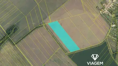 Pole 42 020 m², Podíl 8 % o výměře 3 502 m²