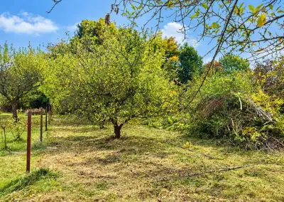 PRODEJ ZAHRADY 800 m² – MORAVANY U PARDUBIC, NEDALEKO DUHOVÉ