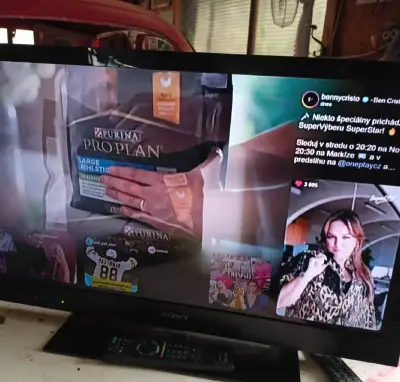 Televize Sony