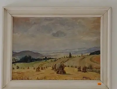 Obraz - Stuchlík