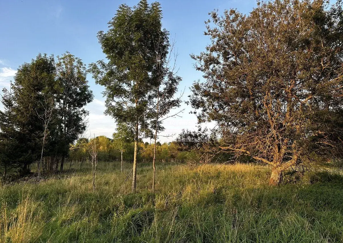 Prodej stavebního pozemku 1 713 m2, Nová Ves, okres Sokolov