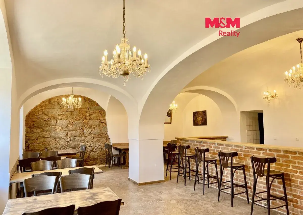 Pronájem restaurace, 300 m², Blatná, ul. náměstí Míru