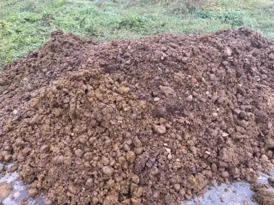 Koňský hnůj