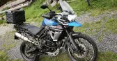Triumph Tiger 800 XCX