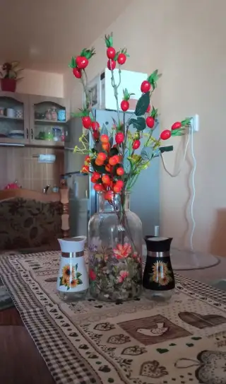 Pronájem apartmánu