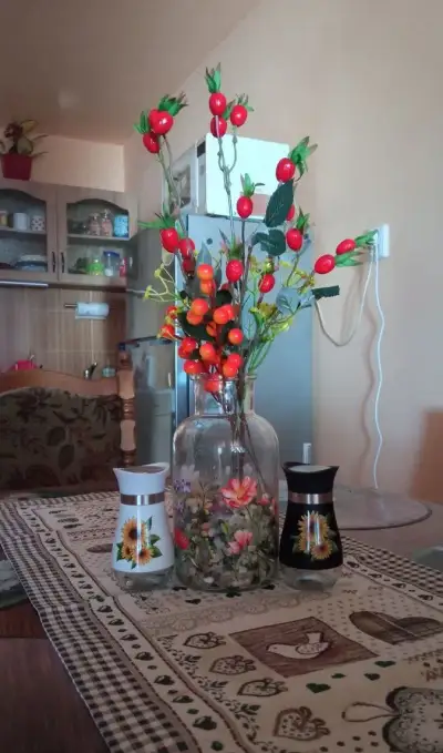 Pronájem apartmánu