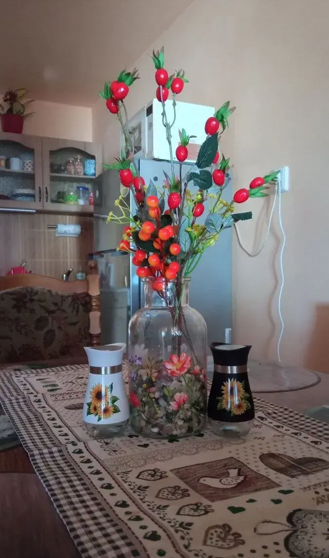 Pronájem apartmánu