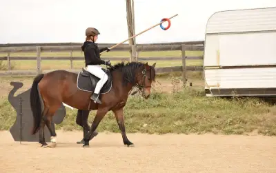 Pony B na rekreaci či hobby sport