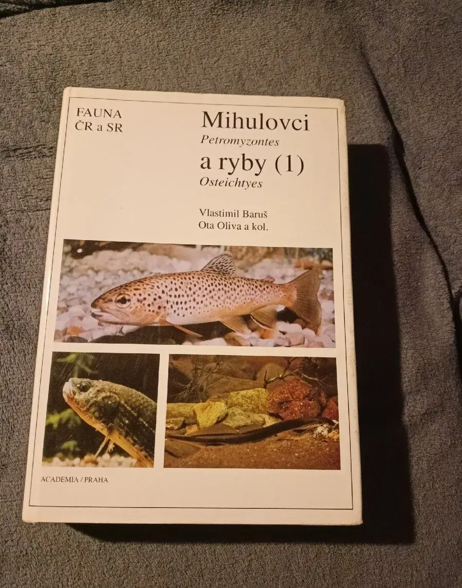 Mihulovci (Petromyzontes) a ryby (Osteichthyes)