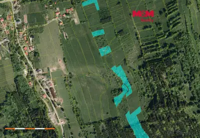 Prodej louky, 12835 m², Nový Hrozenkov