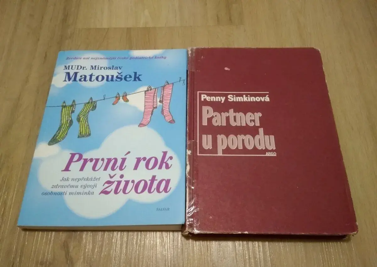 Matoušek: První rok života, Simkinová: Partner u porodu